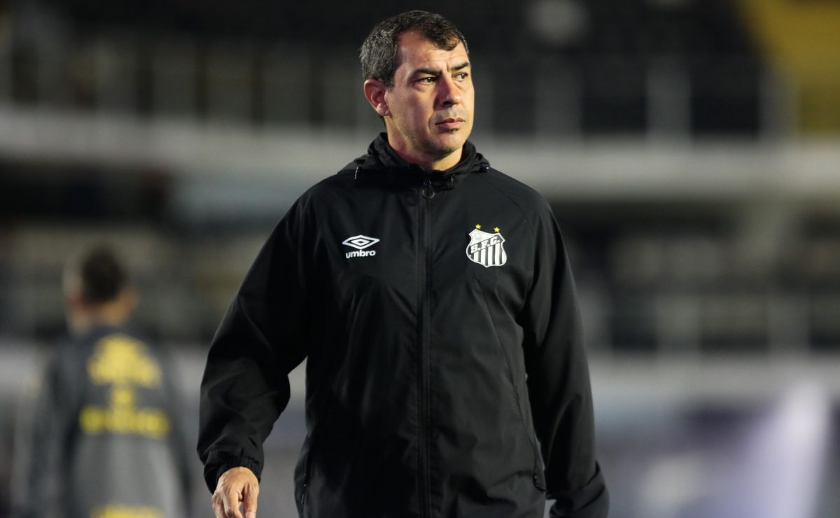 fábio carille fica no santos e não será treinador do corinthians; afirma jornalista