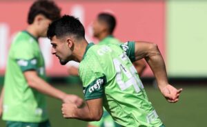 palmeiras coloca elenco à prova após cobrança para sequência mais difícil da temporada