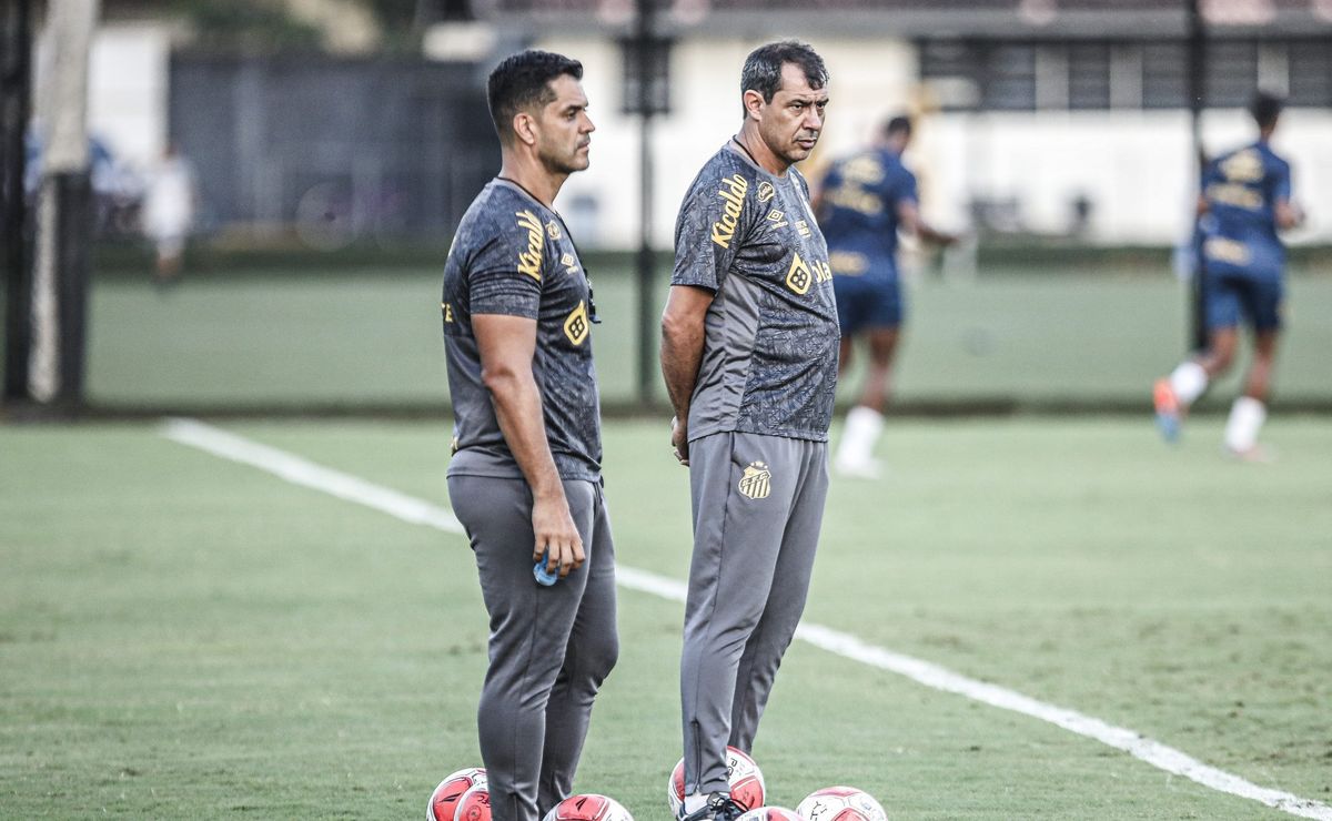 fábio carille irá se reapresentar no santos após vitória sobre o ceará