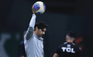 palmeiras tem campanha superior as de seus títulos do brasileirão