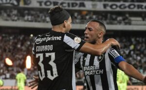 palpite botafogo x palmeiras – campeonato brasileiro – 17/07/2024