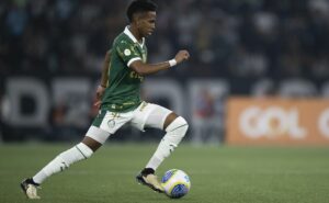 previsão negativa: vidente prevê palmeiras com desgastes e sem o título brasileiro de 2024 