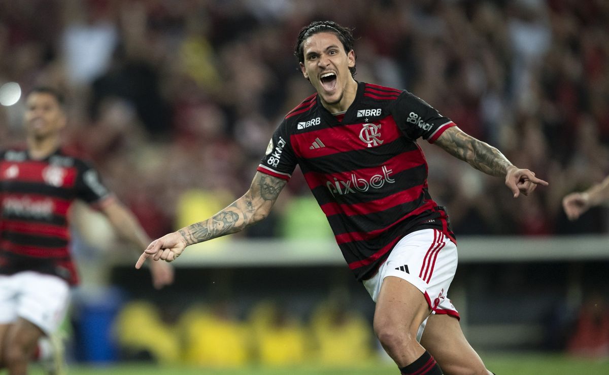 flamengo x criciúma ao vivo – onde assistir ao jogo pelo brasileiro em tempo real