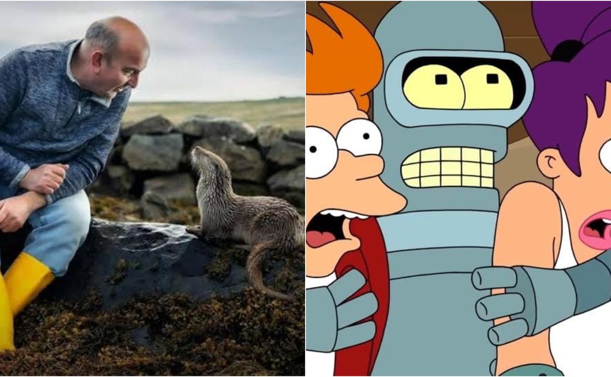 disney+: filme emocionante e temporadas de séries conhecidas estreiam neste final de julho