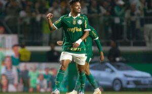 palpite fluminense x palmeiras – campeonato brasileiro – 24/07/2024