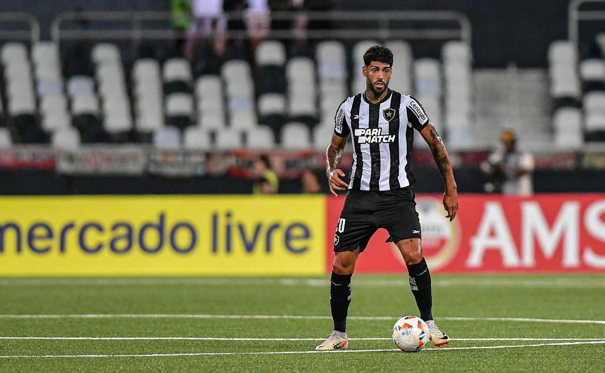 alexander barboza deveria ser expulso em botafogo x palmeiras segundo torcida  