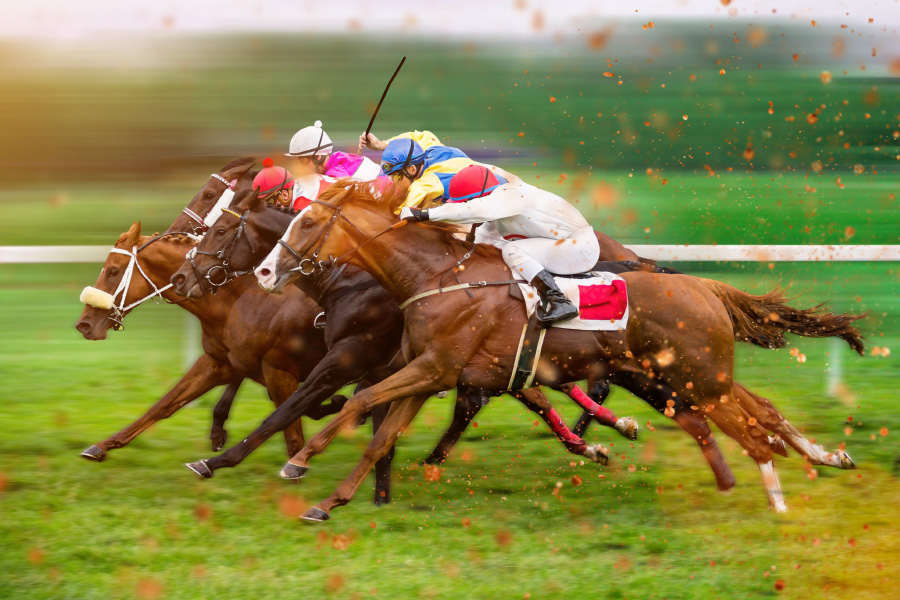 jockey club consegue na justiça suspensão da lei que proíbe corridas de cavalo em são paulo