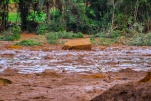 house report condemns brumadinho dam disaster as “unforgivable”