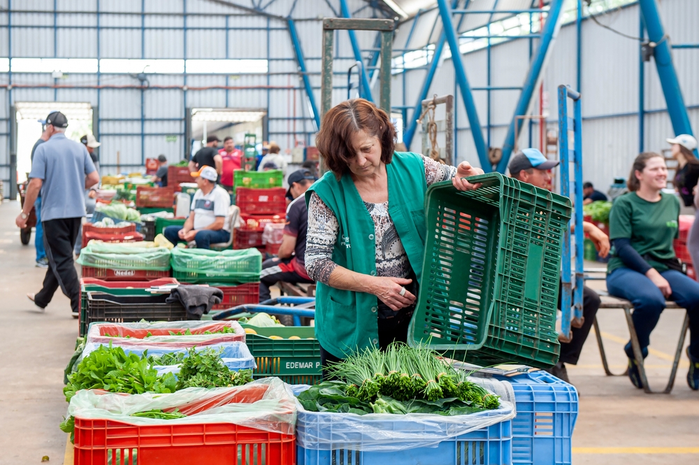 brazilian may retail sales much better than expected