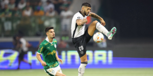 palmeiras x botafogo gera maior audiência da globo na libertadores em 2024 em sp