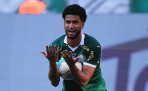 pc de oliveira aprova decisão da arbitragem sobre lance com murilo, do palmeiras: "ele não assume risco"