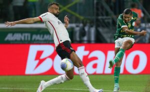 palpite flamengo x palmeiras – campeonato brasileiro – 11/08/2024