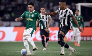 botafogo x palmeiras ao vivo – onde assistir ao jogo da libertadores