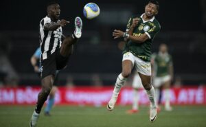 botafogo prepara vingança contra o palmeiras na libertadores: onde assistir