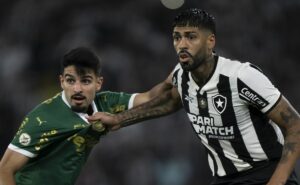 palmeiras x botafogo ao vivo – onde assistir jogo em tempo real pela libertadores