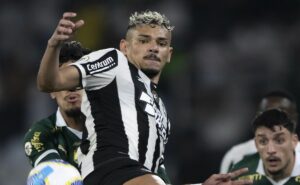 palpite botafogo x palmeiras – copa libertadores – 14/08/2024