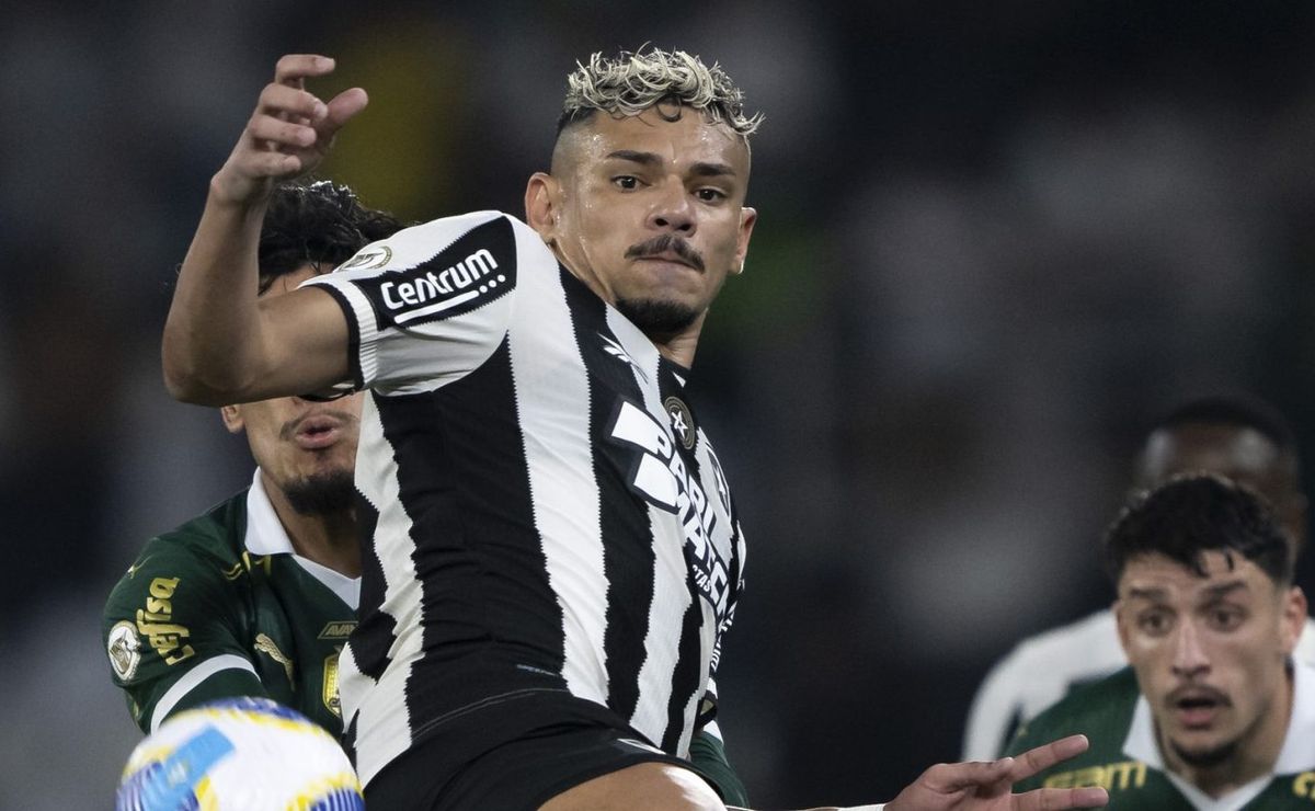 palpite botafogo x palmeiras – copa libertadores – 14/08/2024