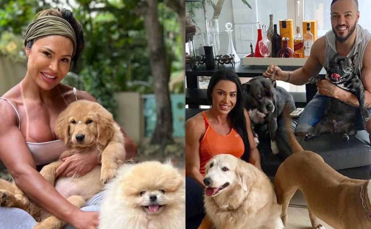 gracyanne conta como os cachorros estão lidando com separação de belo: "adaptando"