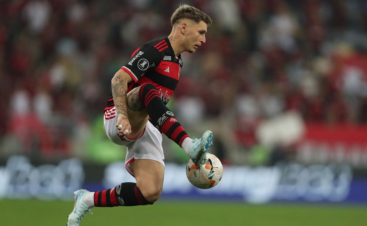 palpite botafogo x flamengo – campeonato brasileiro – 18/08/2024