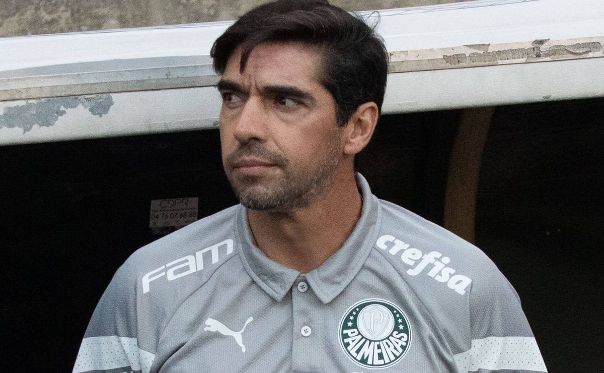 abel ferreira reclama de arbitragem e defende o botafogo: “não consigo entender”