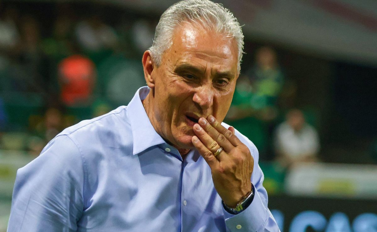 câmeras flagram gesto de tite em direção para abel ferreira em palmeiras x flamengo  