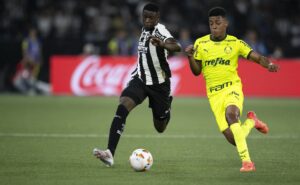 vidente prevê qual time avança para as quartas de final da libertadores entre palmeiras e botafogo