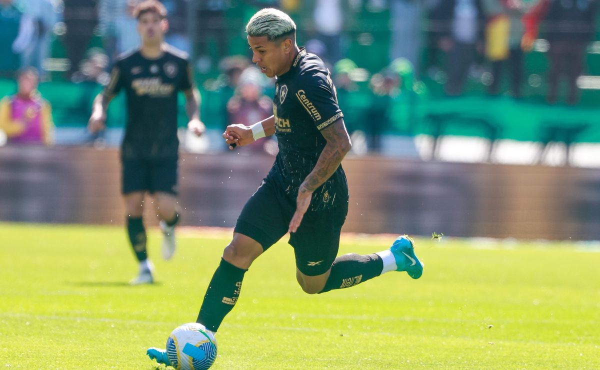 botafogo vence flamengo, assume a liderança do brasileiro em show de matheus martins;confira as notas