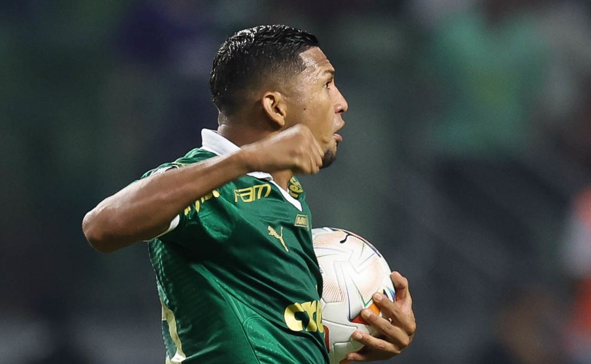 palpite palmeiras x cuiabá – brasileirão – 24/08/2024