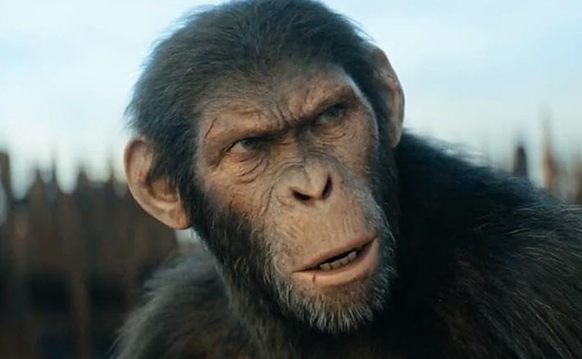 "planeta dos macacos: o reinado" volta a ser destaque no catálogo do disney+