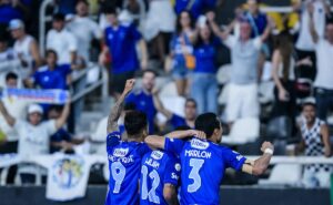 palpite cruzeiro x fortaleza – campeonato brasileiro – 05/08/2024