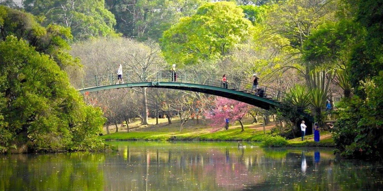 parque ibirapuera terá arena paralímpica e transmissões dos jogos de paris