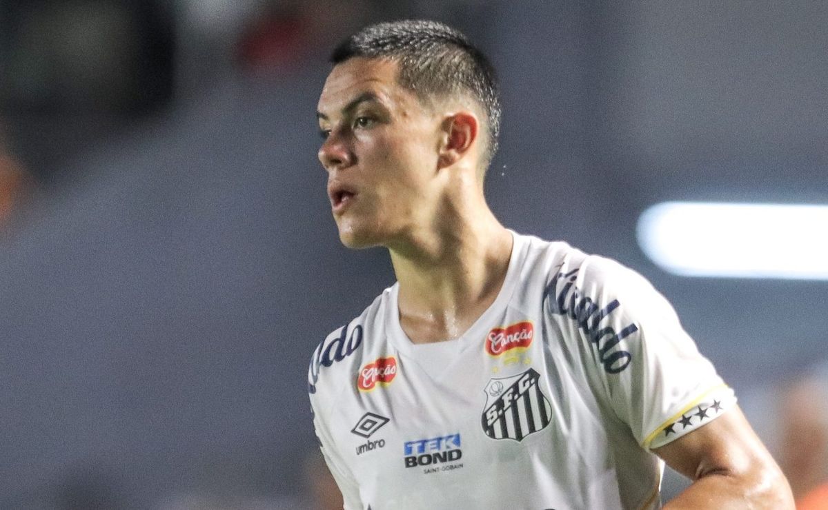 jp chermont vira exemplo para carille expor falhas em santos x novorizontino