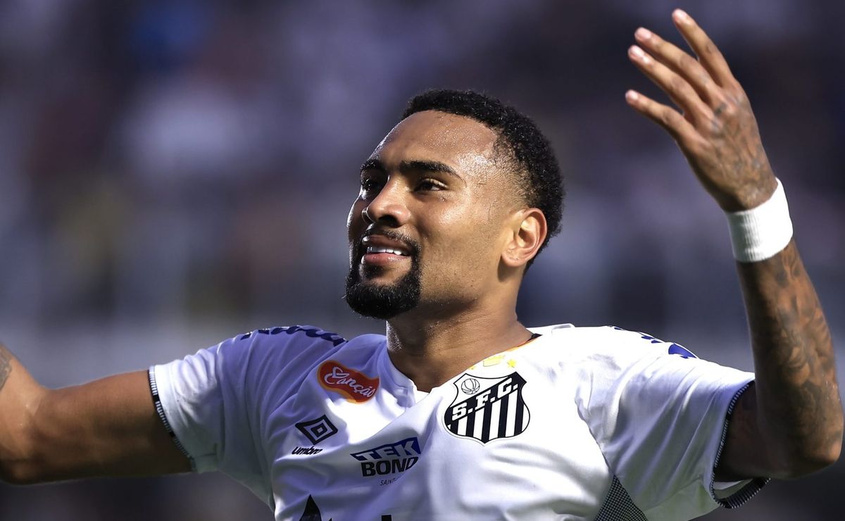 botafogo sp x santos ao vivo – onde assistir jogo em tempo real pelo brasileirão série b