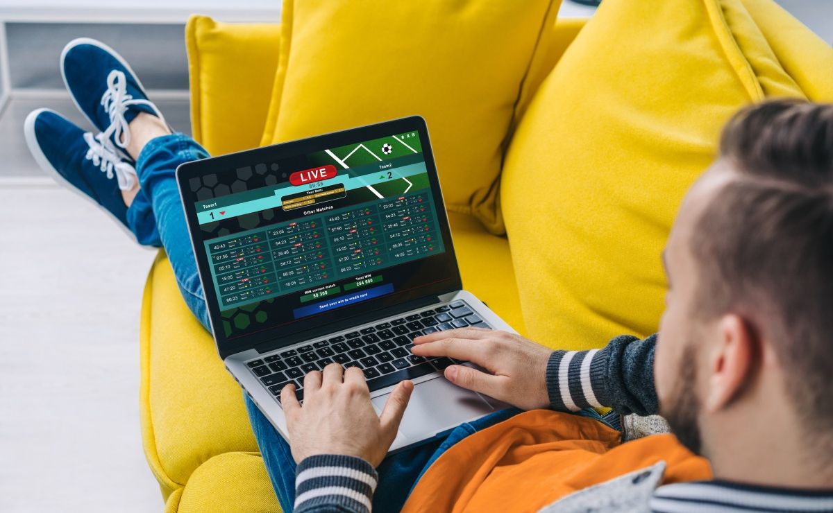 kingpanda: saiba tudo para começar a apostar no site