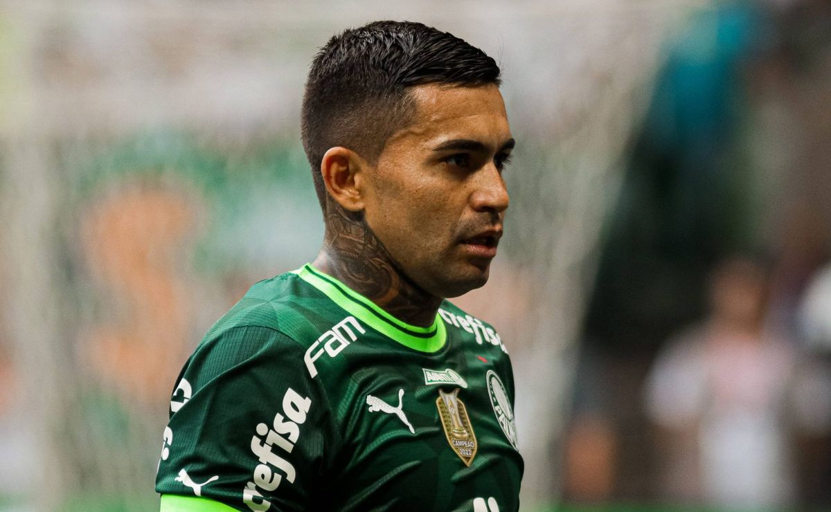 dudu se torna última opção de abel ferreira no palmeiras e vem se dedicando para reconquista espaço  