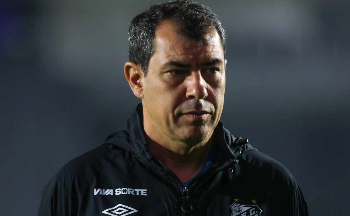 fábio carille analisa atuação do santos contra o brusque: “não vi a gente tomar pressão”