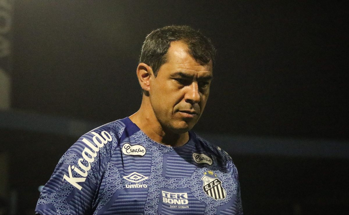 santos de fábio carille perde renan contra o botafogo sp por lesão