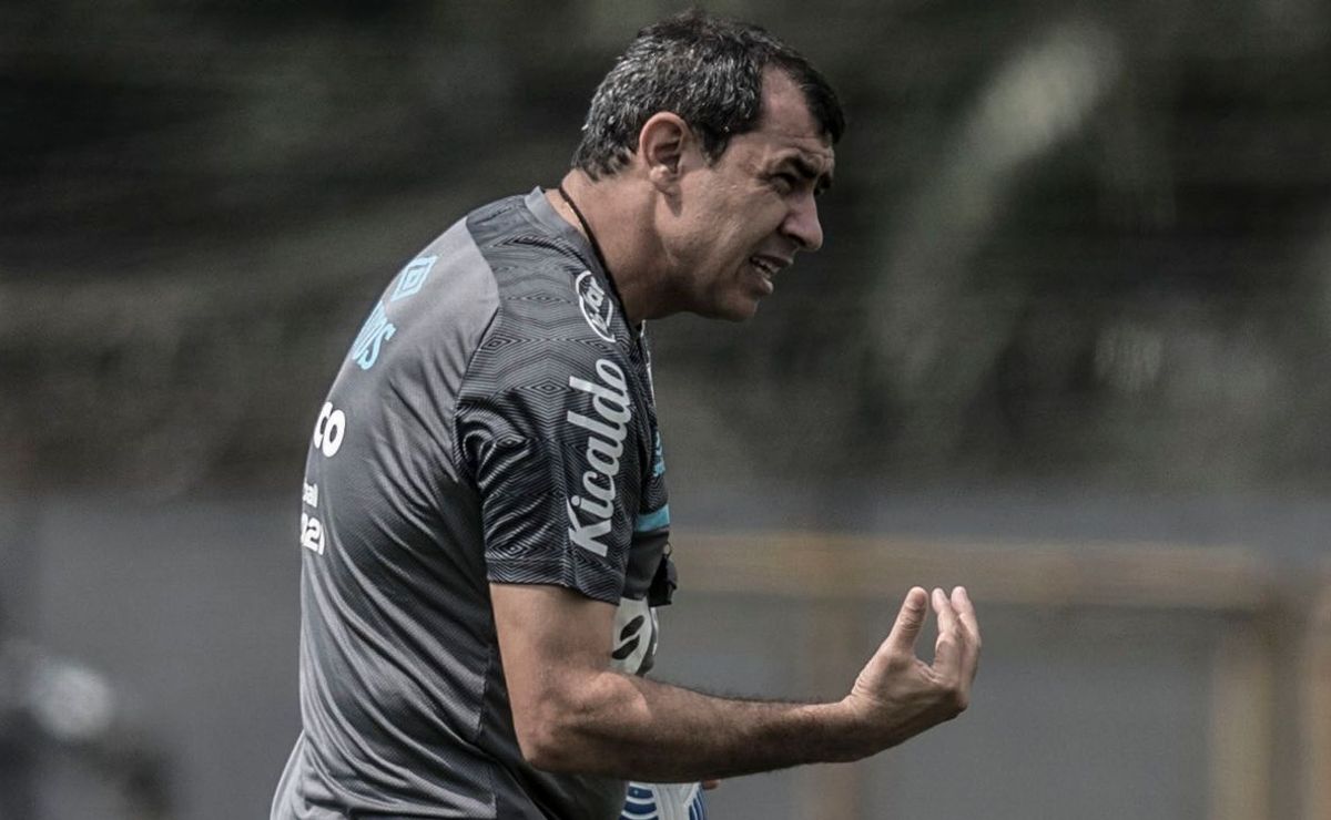 carille promove duas alterações no santos para o confronto com o américa mg