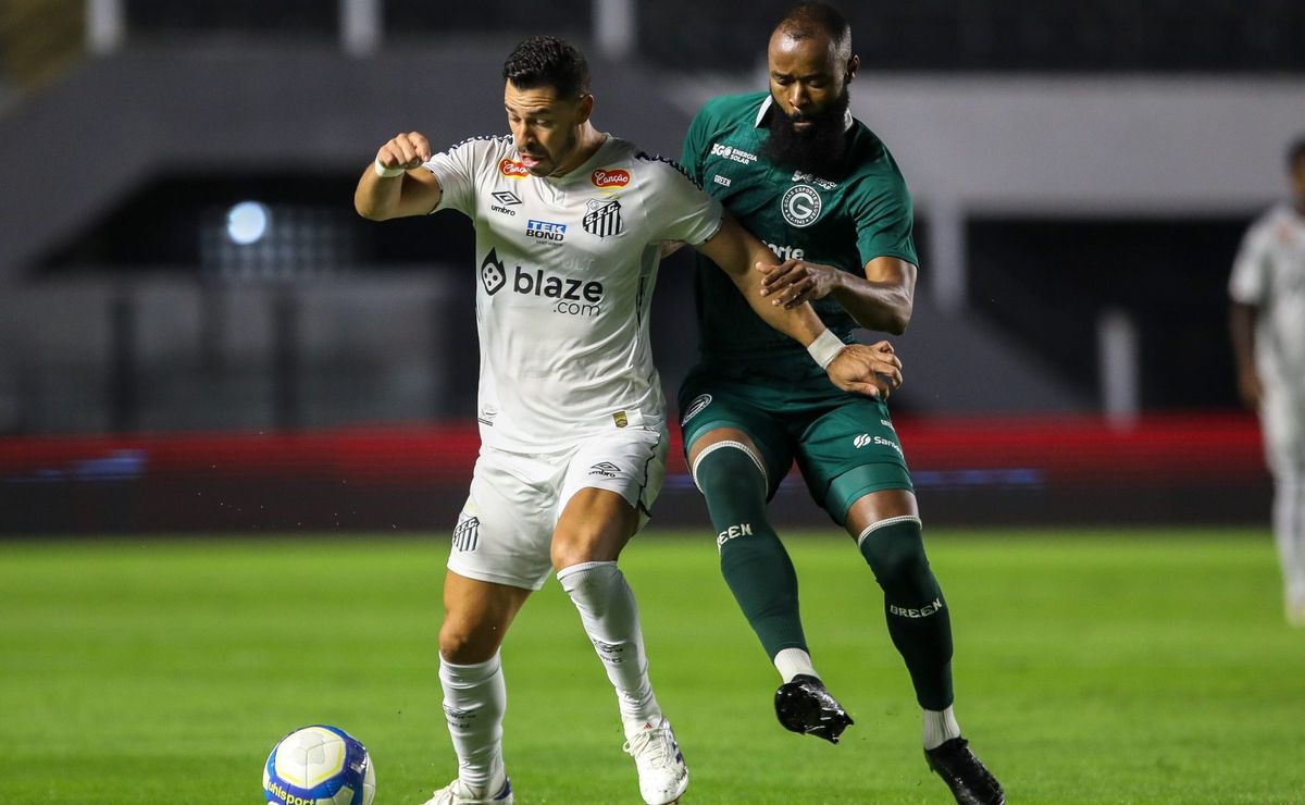 brasileirão betano série b 2024: goiás x santos – horário, escalações, arbitragem e informações principais