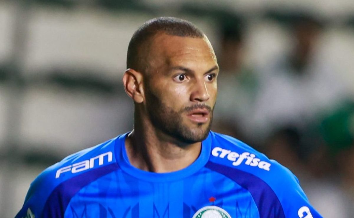 weverton vive situação complicada no palmeiras e pode ser suspenso por conta de agressão em pikachu