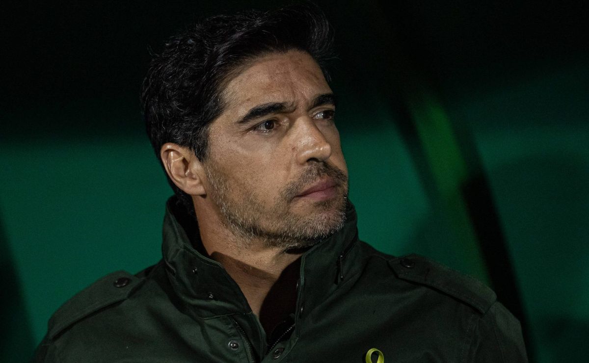 xodó de abel ferreira e contrato até 2026: santos tem novidade para contratar volante luan