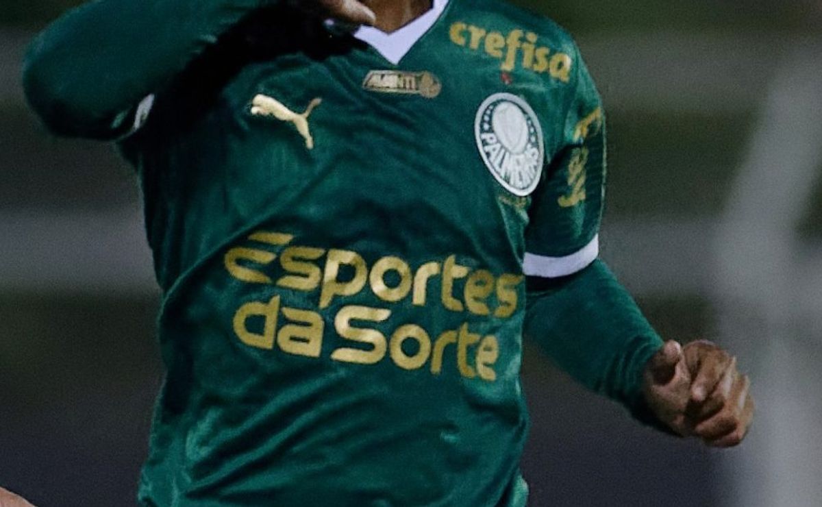 palmeiras feminino tem até dia 10 para retirar do uniforme patrocinadora considerada irregular no brasil