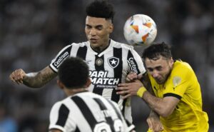 botafogo goleia peñarol e se aproxima de vaga na final da libertadores