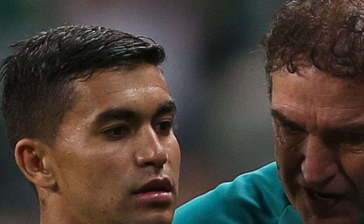 dudu pode sair do palmeiras para trabalhar com cuca em tricampeão da libertadores