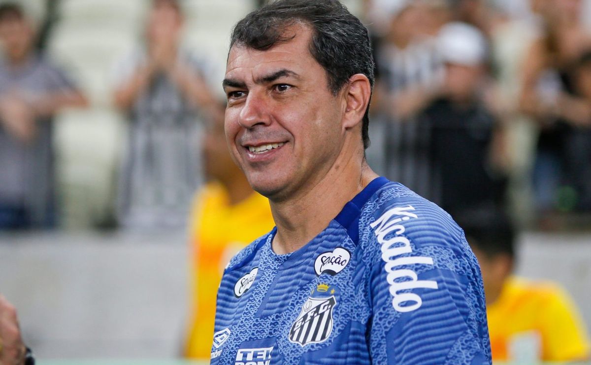 fábio carille fica entusiasmado por causa de meio campista do santos