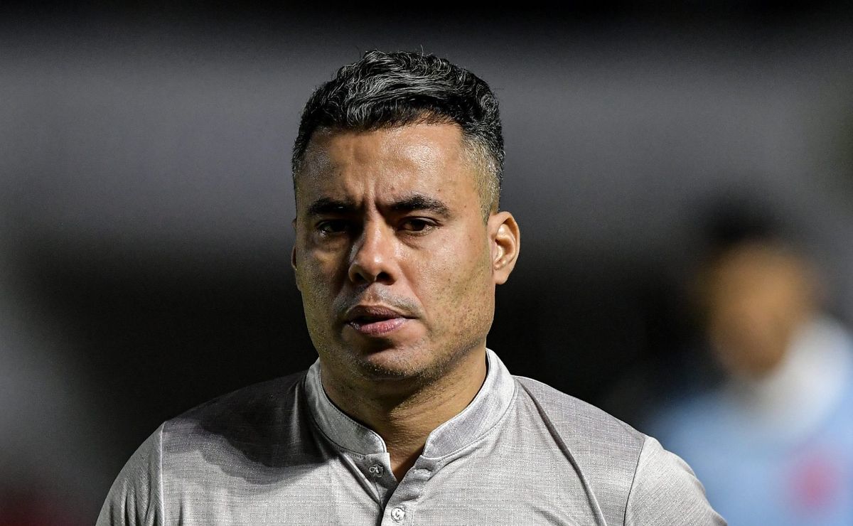 jair ventura projeta juventude x palmeiras pelo brasileirão: “sabemos da dificuldade”