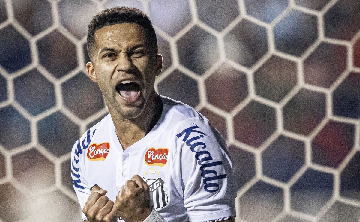 santos confirma que compra de serginho por r$ 1,5 milhão está descartada