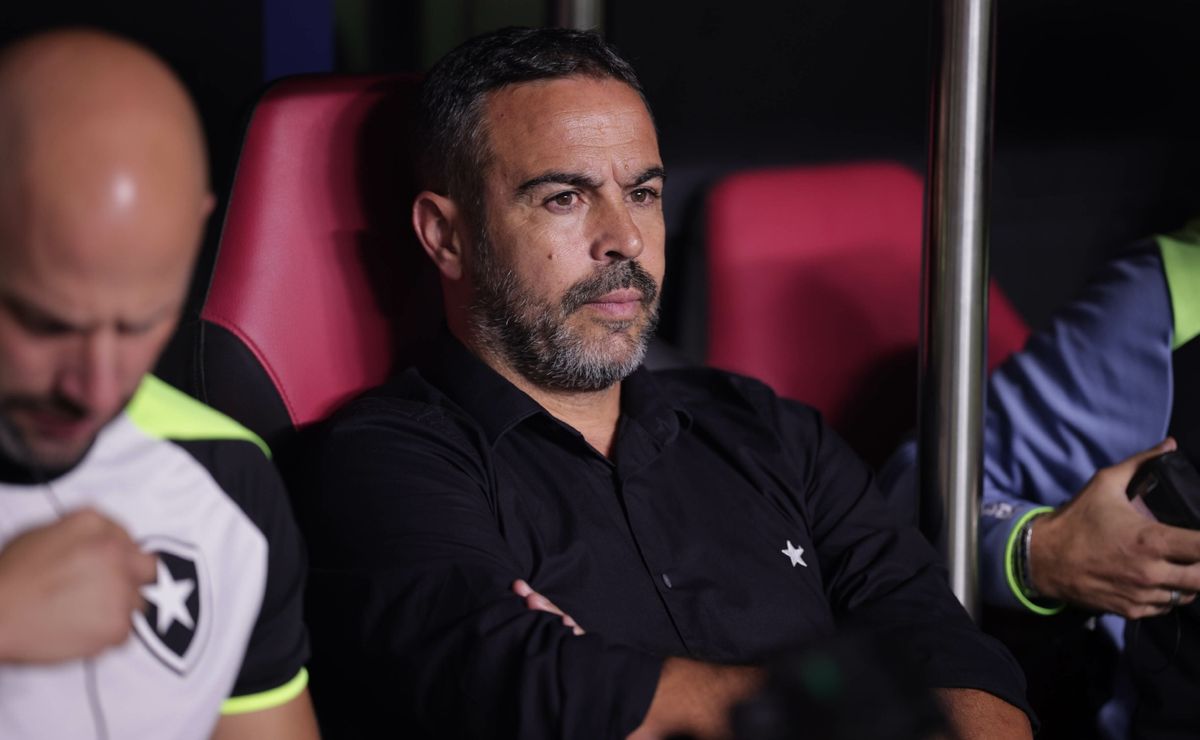 botafogo recebe mais de r$ 300 mil em multa por jogo contra o palmeiras