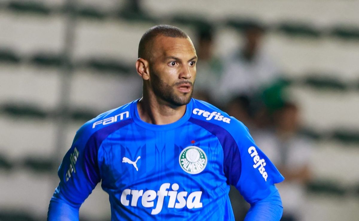 cbf aponta que empurrão de weverton do palmeiras em pikachu era para cartão amarelo