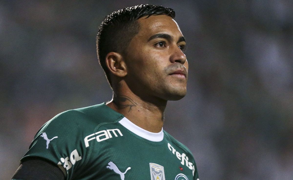 dudu no palmeiras em 2024: desempenho, polêmicas e futuro do ídolo alviverde